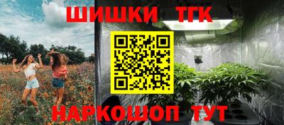 шишки Кингисепп