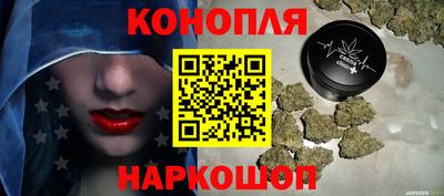 шишки Кингисепп