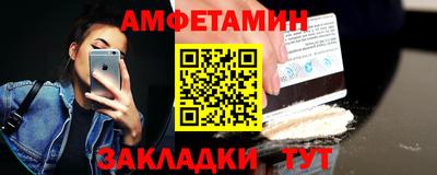 шишки Кингисепп