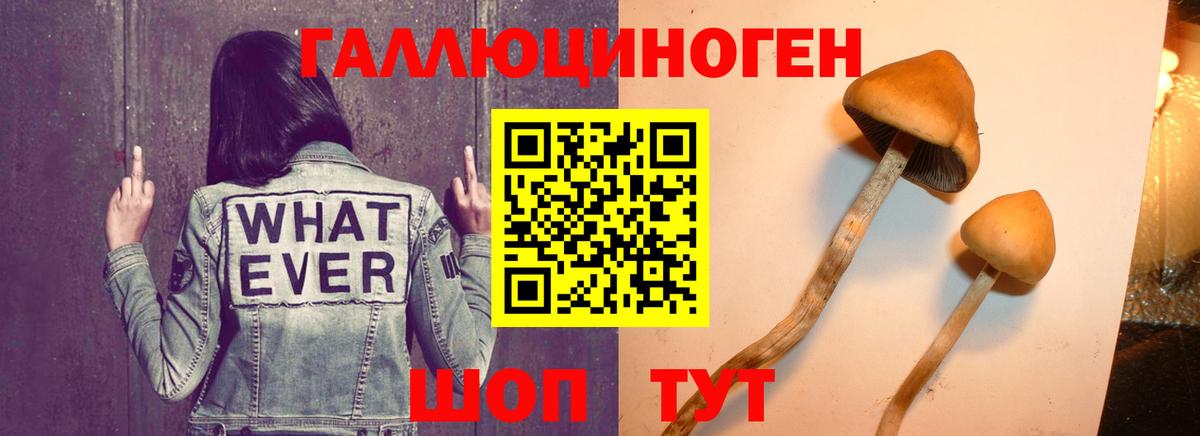 Псилоцибиновые грибы ЛСД Ковров